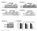 Fig. 05 - COMPOSITIONS FOR SILENCING THE EXPRESSION OF VDAC1 AND USES THEREOF