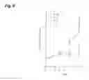 Fig. 05 - CANCER TISSUE-DERIVED CELL MASS AND A PROCESS FOR PREPARING SAME