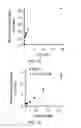Fig. 03 - FLUORESCENT CHEMODOSIMETERS FOR MERCURY IONS BASED ON THE OXYMERCURATION OF VINYL ETHERS