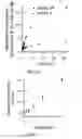 Fig. 15 - FLUORESCENT CHEMODOSIMETERS FOR MERCURY IONS BASED ON THE OXYMERCURATION OF VINYL ETHERS