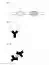 Fig. 02 - METHOD OF EXTRACTING PLASMA BY AGGLUTINATION OF BLOOD CELLS AND PLASMA SEPARATION DEVICE THEREFOR