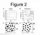 Fig. 03 - Smart hydrogel particles for biomarker harvesting