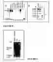 Fig. 08 - Smart hydrogel particles for biomarker harvesting