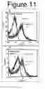 Fig. 10 - Smart hydrogel particles for biomarker harvesting
