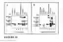 Fig. 12 - Smart hydrogel particles for biomarker harvesting