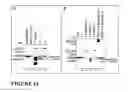 Fig. 13 - Smart hydrogel particles for biomarker harvesting