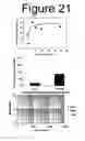 Fig. 19 - Smart hydrogel particles for biomarker harvesting