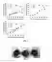 Fig. 07 - Selective Ion Binding Nanomaterials