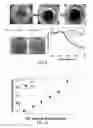 Fig. 08 - Selective Ion Binding Nanomaterials