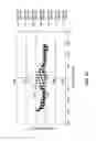 Fig. 07 - DUAL ZONE GAS INJECTION NOZZLE