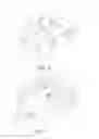Fig. 04 - Safety socket