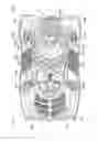 Fig. 14 - Vessel