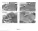 Fig. 22 - ARTICLES AND METHODS RELATED TO THE FORMATION OF NANOSTRUCTURE REINFORCED STRUCTURES
