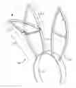 Fig. 01 - Body-carried or worn mechanical remotely-controlled amusement device, costume or accessory