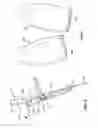 Fig. 06 - Body-carried or worn mechanical remotely-controlled amusement device, costume or accessory