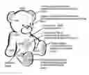 Fig. 01 - Smart stuffed animal with air flow ventilation system
