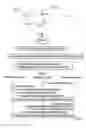 Fig. 02 - Cognitive Radio Transmission