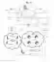 Fig. 11 - Interactive control of access to services and capabilities of a mobile device