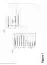 Fig. 08 - FACILITATING AD HOC CONGREGATION OVER AN INSTANT MESSAGING NETWORK