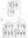 Fig. 07 - Wireless communication system and handover method