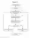 Fig. 07 - Visual based identity tracking