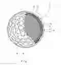 Fig. 02 - Golf ball
