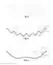 Fig. 02 - Golf ball dimples defined by superposed curves
