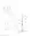 Fig. 01 - Batting tee