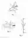 Fig. 02 - Mechanical broadhead