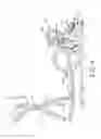 Fig. 05 - Elliptical trainer having two crank assemblies