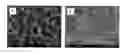 Fig. 01 - Method for obtaining ceramic compounds and resulting material