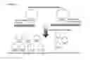 Fig. 12 - METHODS AND COMPOSITIONS FOR EVALUATING GENETIC MARKERS