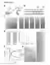 Fig. 02 - Genetically encoded photomanipulation of protein and peptide activity