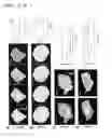 Fig. 06 - Genetically encoded photomanipulation of protein and peptide activity