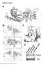 Fig. 07 - Genetically encoded photomanipulation of protein and peptide activity