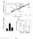 Fig. 02 -  METHOD FOR PREDICTING THE RESPONSIVENESS OF A PATIENT TO A TREATMENT WITH AN ANTI-CD20 ANTIBODY AND A METHOD FOR DIAGNOSING RHEUMATOID ARTHRITIS