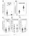 Fig. 03 -  METHOD FOR PREDICTING THE RESPONSIVENESS OF A PATIENT TO A TREATMENT WITH AN ANTI-CD20 ANTIBODY AND A METHOD FOR DIAGNOSING RHEUMATOID ARTHRITIS