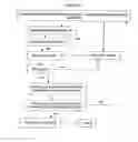 Fig. 05 - RAPID GENOTYPING ANALYSIS  AND THE METHOD THEREOF