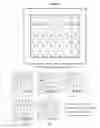 Fig. 19 - RAPID GENOTYPING ANALYSIS  AND THE METHOD THEREOF