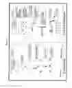 Fig. 24 - RAPID GENOTYPING ANALYSIS  AND THE METHOD THEREOF