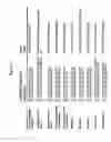 Fig. 25 - RAPID GENOTYPING ANALYSIS  AND THE METHOD THEREOF