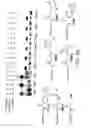 Fig. 09 - EVOLVING NEW MOLECULAR FUNCTION