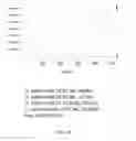 Fig. 11 - OPTIMIZED PROBES AND PRIMERS AND METHODS OF USING SAME FOR THE DETECTION, SCREENING, ISOLATION AND SEQUENCING OF MRSA, MSSA, STAPHYLOCOCCUS MARKERS, AND THE ANTIBIOTIC RESISTANCE GENE MEC A