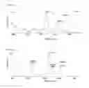 Fig. 02 - BIOLOGICALLY PRODUCED CYCLIC AFFINITY TAGS