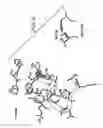 Fig. 04 - Subtilase Variants