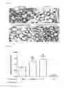Fig. 06 - METHODS FOR BINDING LEWIS Y ANTIGEN