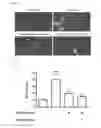 Fig. 07 - METHODS FOR BINDING LEWIS Y ANTIGEN