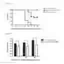 Fig. 11 - METHODS FOR BINDING LEWIS Y ANTIGEN