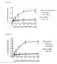 Fig. 13 - METHODS FOR BINDING LEWIS Y ANTIGEN