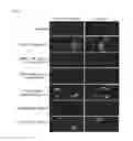Fig. 15 - METHODS FOR BINDING LEWIS Y ANTIGEN
